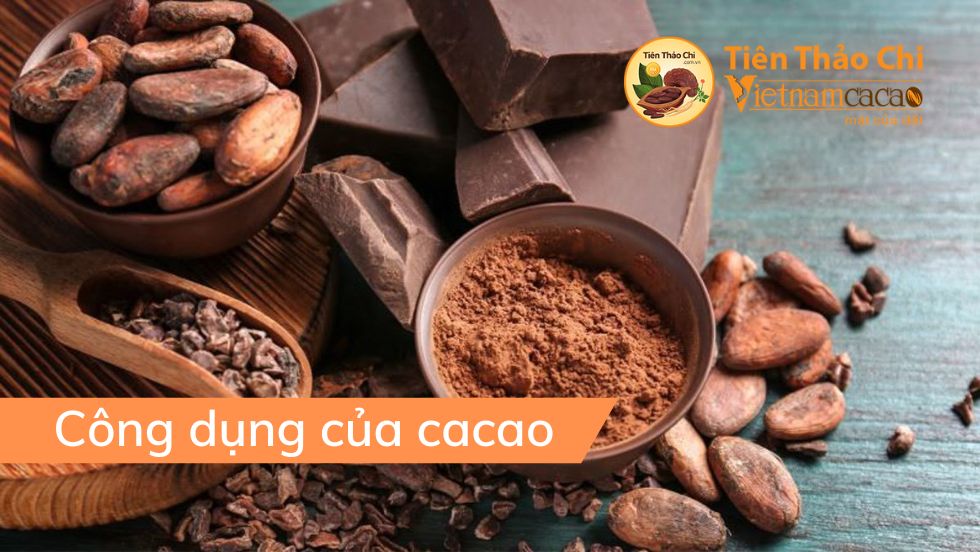 Cộng dụng của cacao