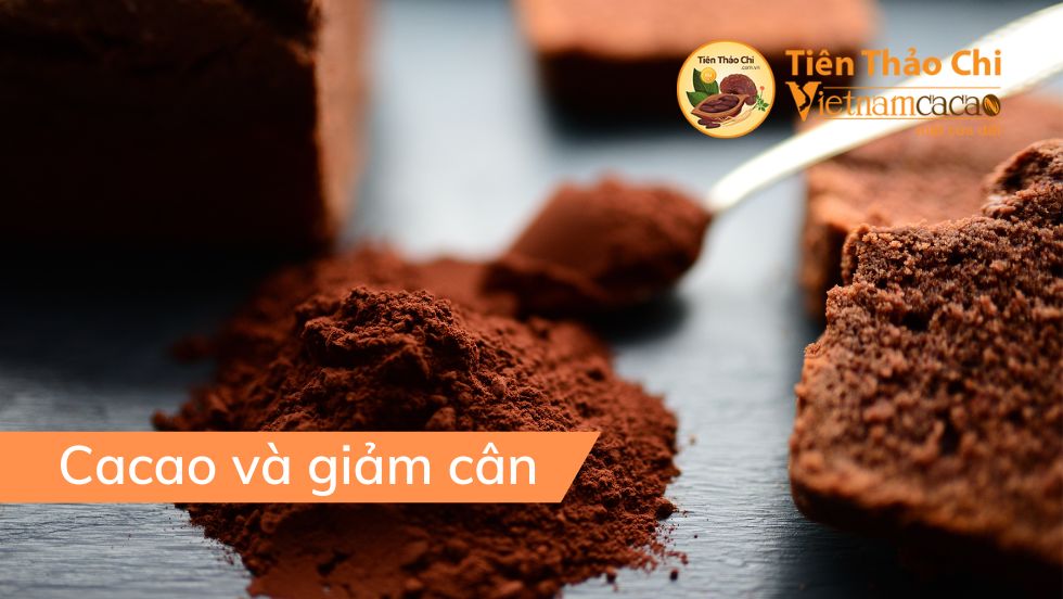 Cacao và giảm cân