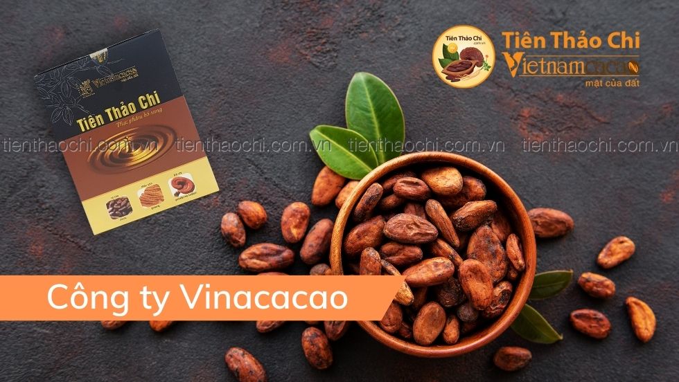 Giới thiệu Công ty Vinacacao