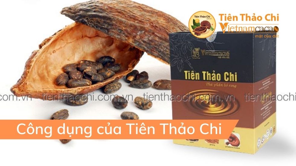 Công dụng của Tiên Thảo Chi